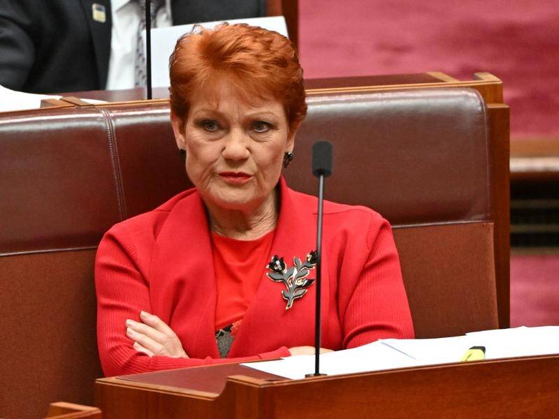 The Australian Human Rights Commission will investigate a tweet by One Nation leader Pauline Hanson. (Mick Tsikas/AAP PHOTOS)