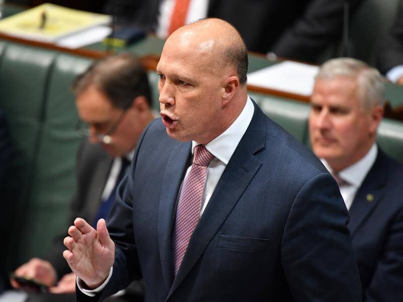 Peter Dutton says the government has been advised that the bill doesn't breach the constitution.