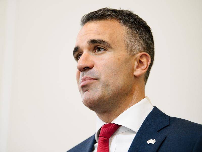 SA Labor leader Peter Malinauskas will chair the COVID-19 transition committee if elected premier.