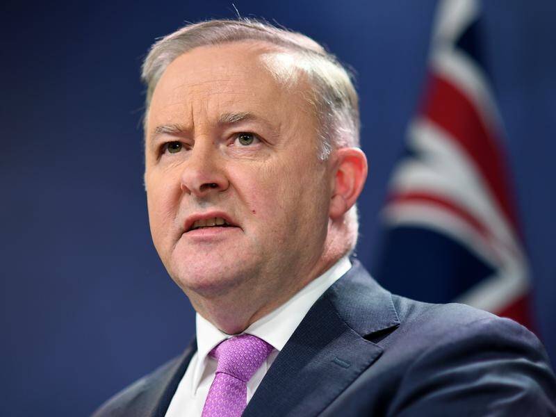 Anthony Albanese says we need a national summit on domestic violence.