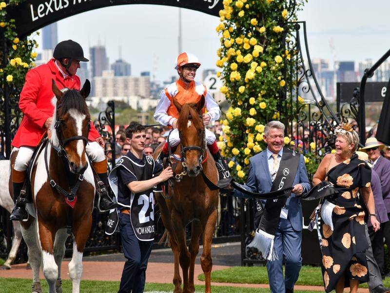 One of Vow And Declare's owners Geoff Corrigan leads the Melbourne Cup winner home after the race.