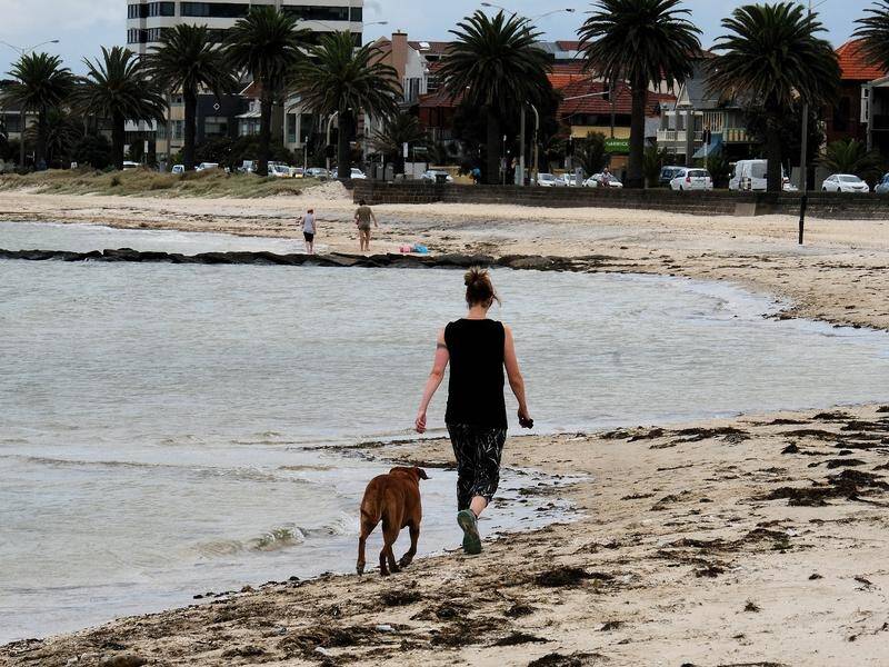Victorians living along the coast could face inundation by 2100 due to rising sea levels. (Luis Enrique Ascui/AAP PHOTOS)