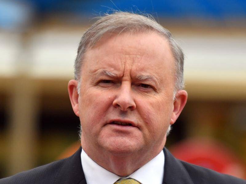 Anthony Albanese has had a dig at the infighting between Nationals and Liberals over Eden-Monaro.