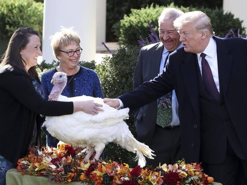 President Donald Trump has pardoned turkeys Peas and Carrots during a ceremony before Thanksgiving.