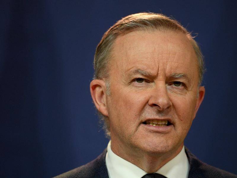 Anthony Albanese says Anthony Byrne can stay on as a Labor MP while an IBAC investigation proceeds.
