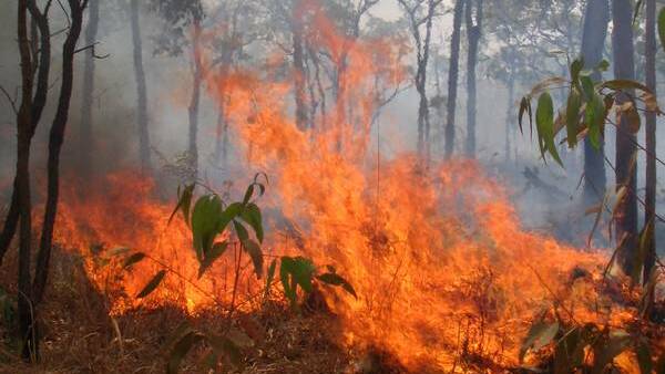 Bushfire season starts two months early on Far South Coast