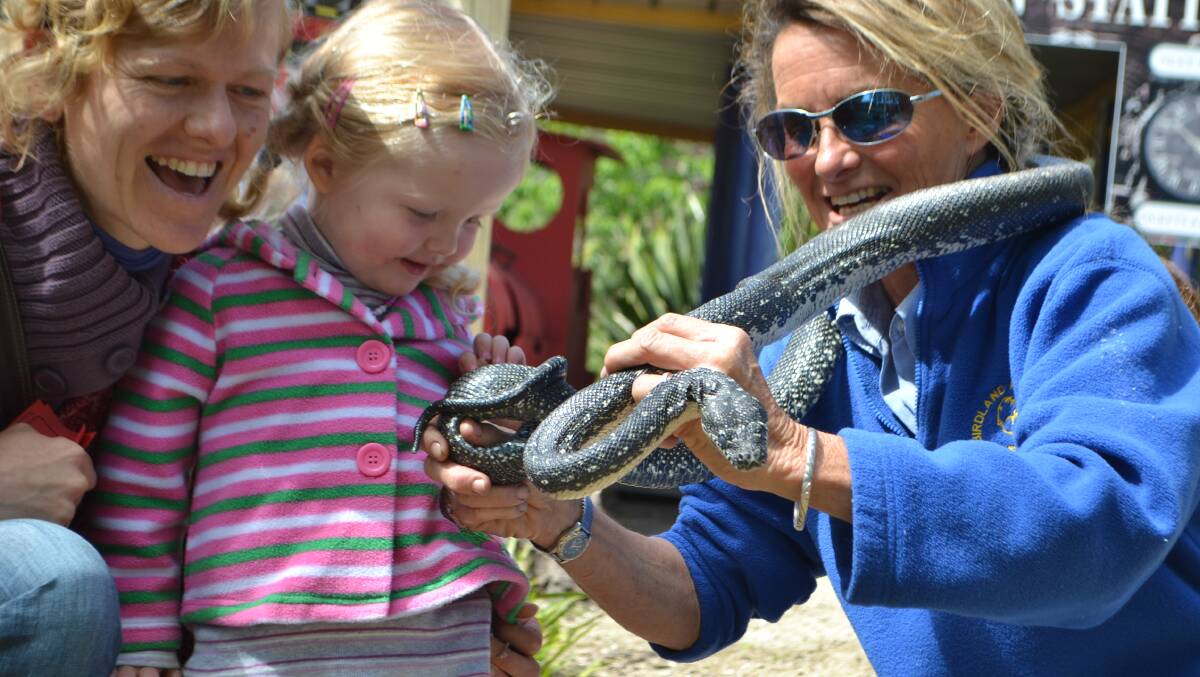 STOLEN SNAKES: Fiona Lemke and Charli Berry, of Benalla, and Birdland head keeper Karen Best enjoy contact with a remaining snake after three were stolen on Monday. 
