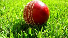 Bay cricket season kicks off with trial against Wests