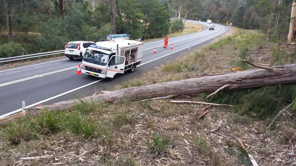 Emergency services respond to fallen tree, fuel spill on busy Saturday