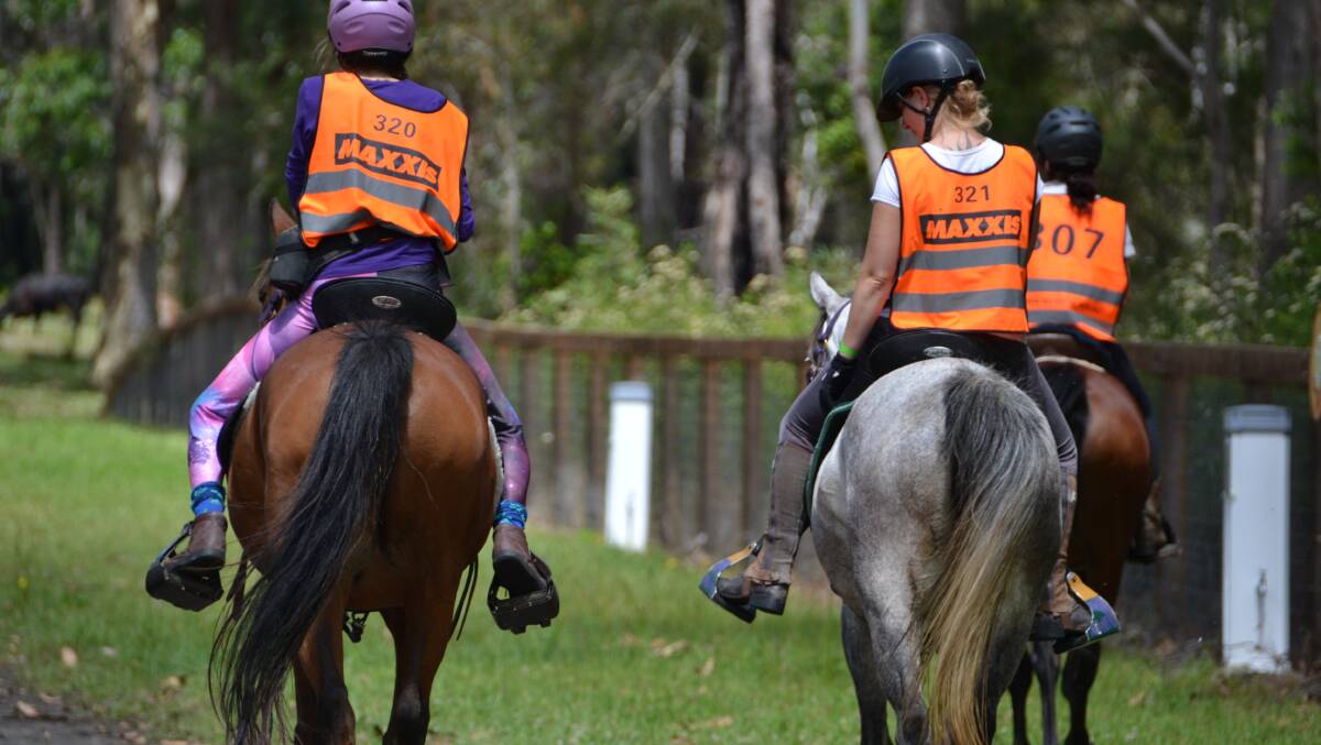Riders embark on an endurance ride at Willinga Park in December, 2017.