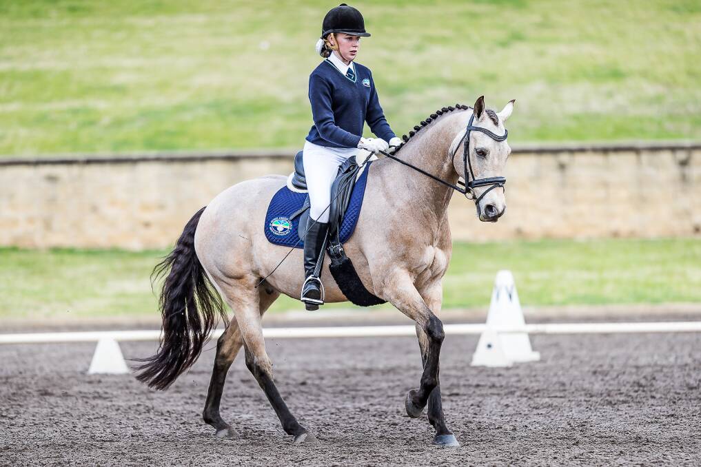 RIDE ON: Broulee student Isabella Wall will ride Phoenix for NSW at the Australian Interschool Championships from September 26-29. Picture: Stephen Mowbray