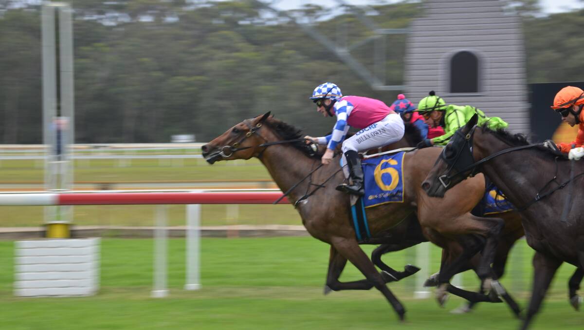 CLOSE CALL: Matthew Dale's Animalia stretches out to win the North Ryde RSL Showcase Moruya Cup ahead of three challengers.