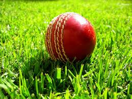 Cricket Australia releases MyCricket App