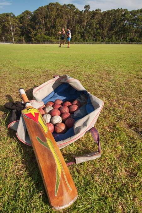 Council works with Cricket NSW to increase shire-wide participation