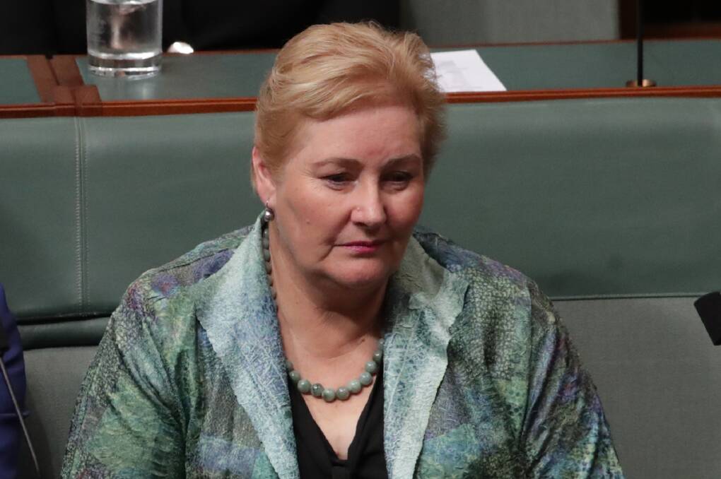 Gilmore MP Ann Sudmalis in Parliament on Tuesday. Picture: Andrew Meares