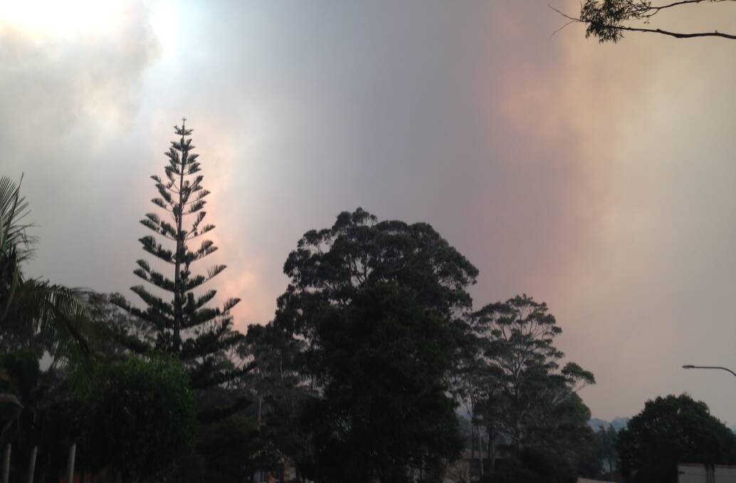 TIMELINE OF DISASTER: The fire approaches Bateman's Bay at 8.24am after engulfing Mogo and homes along Dunns Creek Road. Within half an hour it will be upon the suburb of Surf Beach. PHOTO: Sharon Halliday