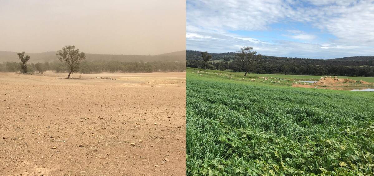GREENER PASTURES: Craig Armstrong took these two photos from the same place on the farm 'Kiah" on the Henry Parkes Way 225 days apart.