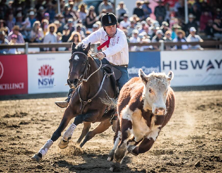 Willinga Park to host World Championship Gold Buckle Campdraft. Image supplied.