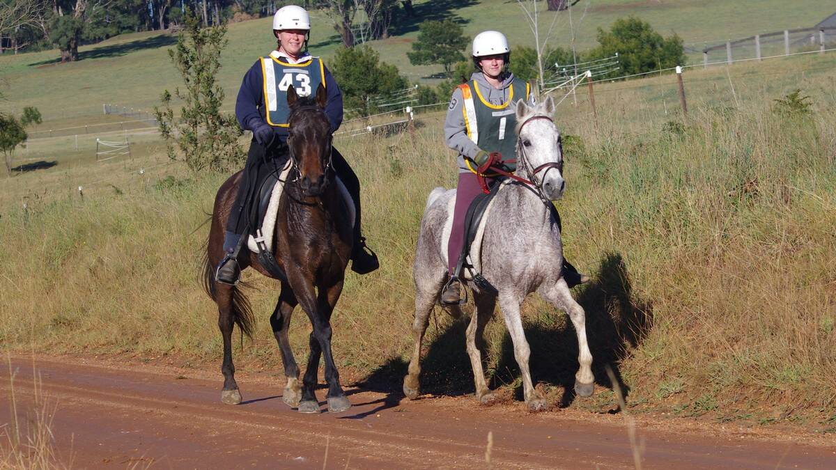 GREAT GUNS: Of uncertain age and parentage, Trigger, right is proving a winning mount for East Lynne endurance rider Vetea Facchini and trainer Heidi Wade, right. Mrs Wade’s mount, Yinbilliko Jackson, was also excelling until a recent stone injury.