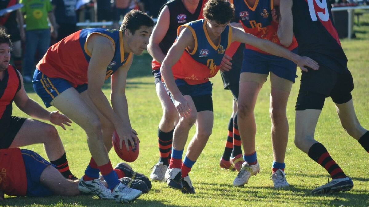 NAROOMA: The Narooma AFL Lions were hoping for a win on the weekend of their 30th anniversary but went down to the Bega Bombers 12 – 11 – 83 to 4   – 12 – 36.